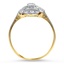 The Ying Ring, smallside view