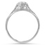 The Duane Ring, smallside view