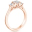 14K Rose Gold Petite Three Stone Trellis Diamond Ring (1/3 ct. tw.), smallside view