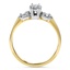 The Janine Ring, smallside view