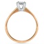 The London Ring, smallside view