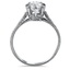 The Feline Ring, smallside view