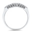 The Fern Ring, smallside view