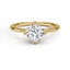 Custom Double Claw Prong Hidden Halo Ring