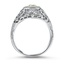 The Oceana Ring, smallside view