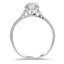 The Emori Ring, smallside view
