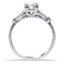The Lavelle Ring, smallside view