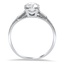 The Dovie Ring, smallside view