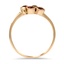The Priscella Ring, smallside view