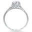 The Midvale Ring, smallside view