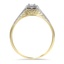 The Shantell Ring, smallside view
