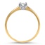 The Tutu Ring, smallside view