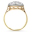 The Monah Ring, smallside view