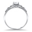The Adline Ring, smallside view