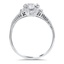 The Flynn Ring, smallside view