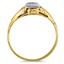 The Farallon Ring, smallside view