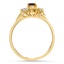 The Garfield Ring, smallside view