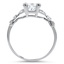 The Walsh Ring, smallside view