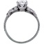 The Electra Ring, smallside view