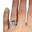The Fedora Ring, smallzoomed in top view on a hand
