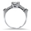 The Annita Ring, smallside view