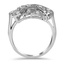 The Laurentian Ring, smallside view