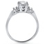 The Carlotta Ring, smallside view