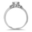 The Trey Ring, smallside view