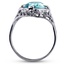 The Antonia Ring, smallside view