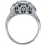 The Juliet Ring, smallside view