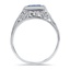 The Frehel Ring, smallside view