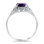 The Alger Ring, smallside view