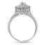 The Odelina Ring, smallside view