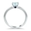 The Alverta Ring, smallside view