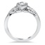 The Sandy Ring, smallside view