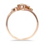 The Francene Ring, smallside view