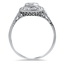 The New York Ring, smallside view
