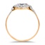 The Freddie Ring, smallside view