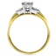 The Cayna Ring, smallside view