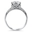 The Rees Ring, smallside view