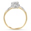 The Karee Ring, smallside view