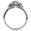 The Soprano Ring, smallside view