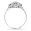 The Roa Ring, smallside view
