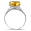 The Quiana Ring, smallside view