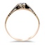 The Carmelita Ring, smallside view