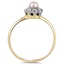 The Ennis Ring, smallside view