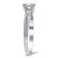 The Ottawa Ring, smalltop view on a hand