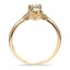 The Gerdina Ring, smallside view