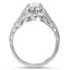The Ginelle Ring, smallside view