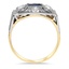 The Alix Ring, smallside view